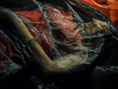 gravidanza_II_jpg (15).jpg